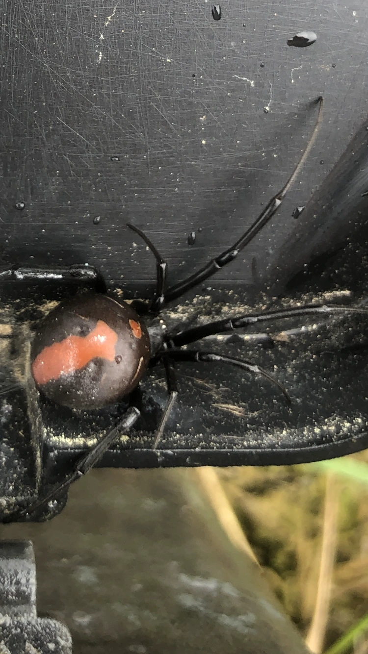 Gippsland Pest Control